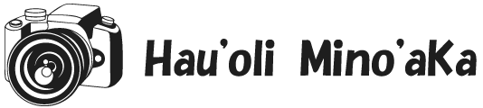 浜松市南区で家族写真、七五三などの記念日やイベントに出張撮影で人気の【Hau'oli Mino'aka】